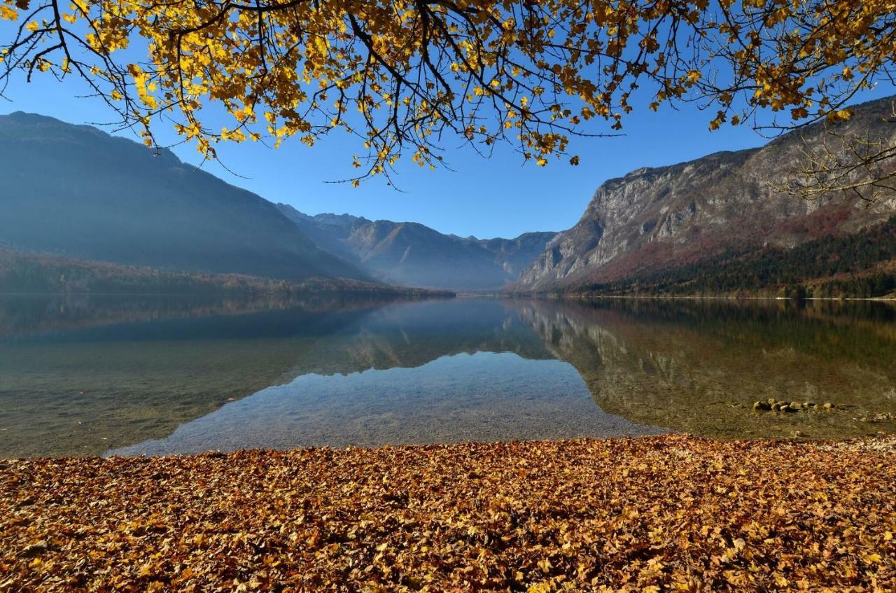 Apartma Pr Gatej Bohinj Exterior photo